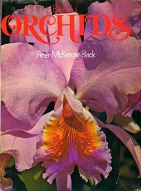 Beautiful Orchids