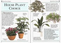 House Plants (101 Essential Tips S.)