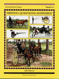 Driving Questions Answered (Threshold Picture Guides, No 34)