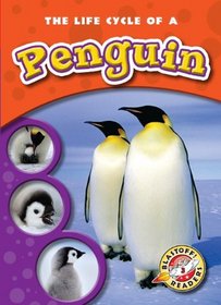 The Life Cycle of a Penguin (Blastoff! Readers: Life Cycles) (Blastoff! Readers Life Cycles)