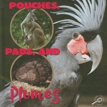Pouches, Pads, and Plumes (What Animals Wear)