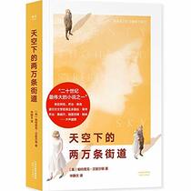 Twenty Thousand Streets Under the Sky (Chinese Edition)