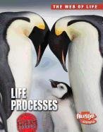 Life Processes (Raintree Freestyle Express: The Web of Life)