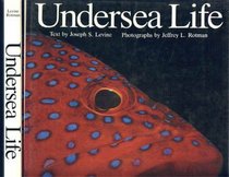Undersea Life