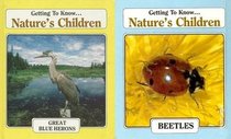 Getting To Know... Nature's Children: Great Blue Herons/Beetles