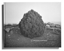 Michael Lundgren: Transfigurations