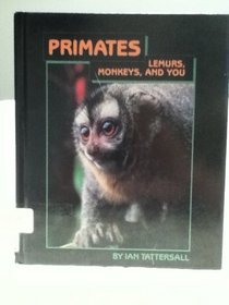 Primates (Beyond Museum Walls)