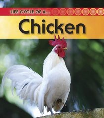 Chicken: 2nd Edition (Life Cycle of a)