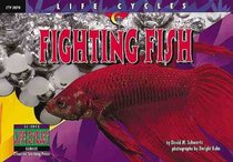 Fighting Fish (Life Cycles)