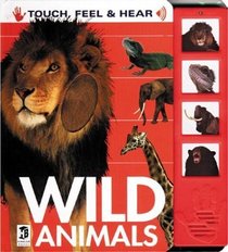 Wild Animals: Touch, Feel, and Hear (Touch, Feel  Hear)