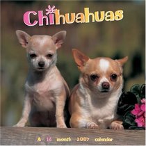 Chihuahuas 2007 Wall Calendar