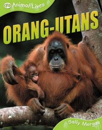 Orang-utans (QED Animal Lives)