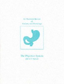 An Illustrated Review of the Digestive System (Anatomy  Physiology)