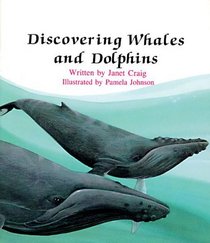 Discovering Whales & Dolphins