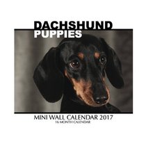 Dachshund Puppies Mini Wall Calendar 2017: 16 Month Calendar