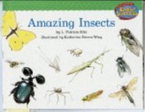 Houghton Mifflin Early Success: Amazing Insects