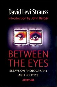 Between the Eyes: Essays on Photography