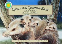 Opossum at Sycamore Road - a Smithsonian's Backyard Book