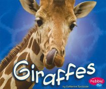 Giraffes (African Animals) (Pebble Plus: African Animals)