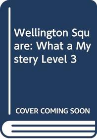 Wellington Square: What a Mystery Level 3