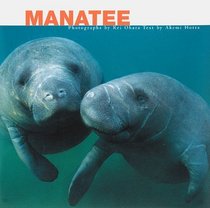 Manatee