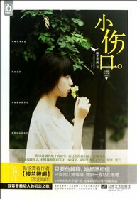 The Small Wounds (Chinese Edition)