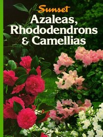 Azaleas,  Rhododendrons & Camellias