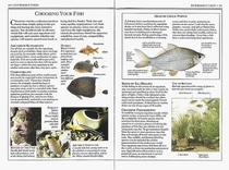 Aquarium Fishes (Eyewitness Handbooks S.)
