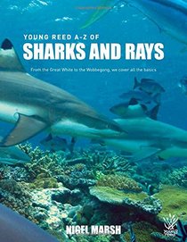 A-Z of Sharks and Rays: From the Great White to the Wobbegong, we cover all the basics (Young Reed)