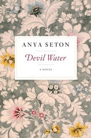 Devil Water: A Novel