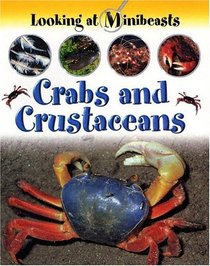 Crabs and Crustaceans (Looking at Minibeasts)