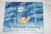 Moonlit Journey