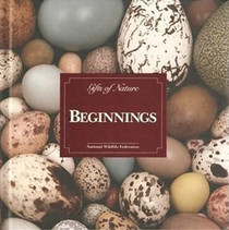 Beginnings (Gifts of Nature)
