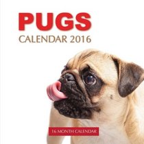 Pugs Calendar 2016: 16 Month Calendar