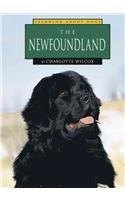 The Newfoundland (Wilcox, Charlotte. Learning About Dogs.)