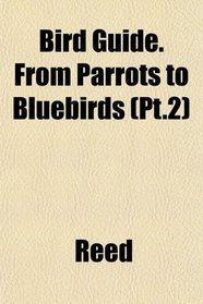 Bird Guide. From Parrots to Bluebirds (Pt.2)