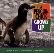 A Penguin Chick Grows Up (Baby Animals)