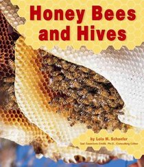Honey Bees and Hives (Honey Bees) (Schaefer, Lola M., Honey Bees.)