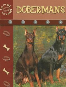 Doberman Pinschers (Eye to Eye With Dogs)