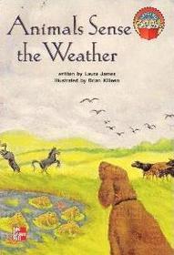 Animals Sense the Weather (Leveled Books [5])