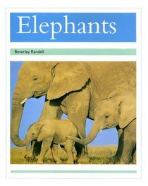 Elephants (PM Animal Facts: Animals in the Wild)