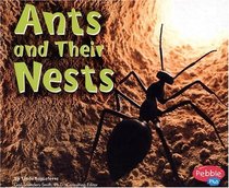 Ants and Their Nests (Pebble Plus)