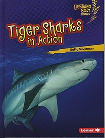 Tiger Sharks in Action (Lightning Bolt Books: Shark World)
