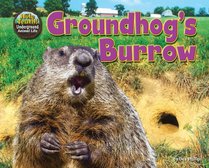 Groundhog's Burrow (The Hole Truth! Underground Animal Life)