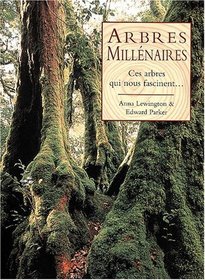 Arbres millenaires : Ces arbres qui nous fascinent