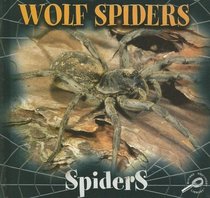 Wolf Spiders (Cooper, Jason, Spiders Discovery)