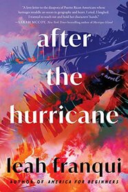 After the Hurricane: A Novel