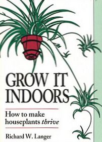 Grow It Indoors: How to Make Houseplants Thrive