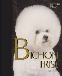 Bichon Frise (Best of Breed)