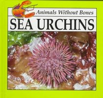 Sea Urchins (Animals Without Bones Discovery Animals)